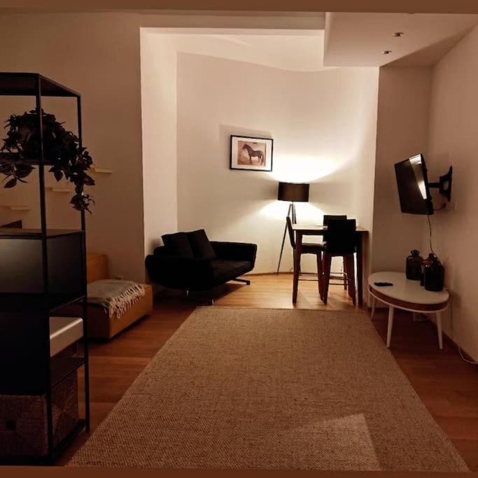 Apartmán Designer Between Stephansdome And Belvedere Vídeň